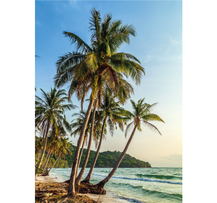 Palmės paplūdimyje zaliuzes vonios kambariui - „Tenstickers“