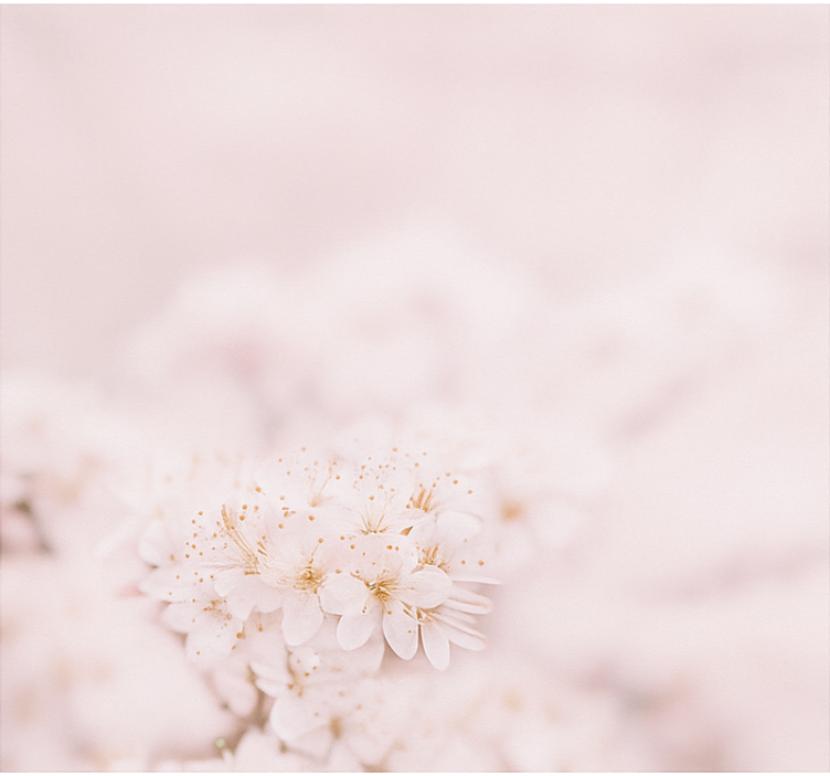 Subtilūs vyšnių žiedai Roletai pagrindinis miegamasis - „Tenstickers“