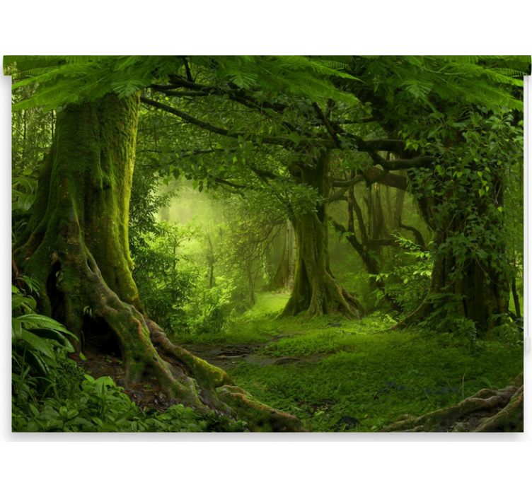 Roletai medžiai Žavinga miško oazė - „Tenstickers“