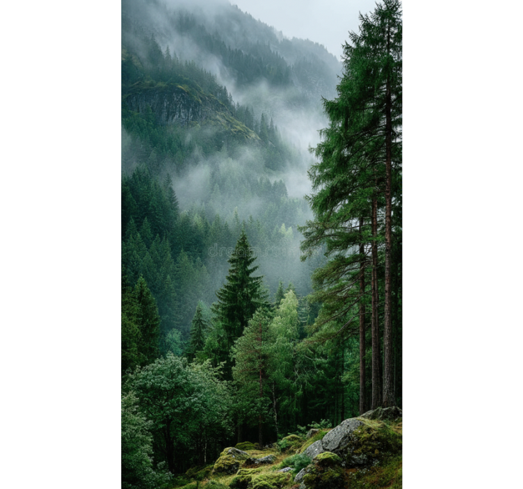 Roletai medžiai nuotaikingas pasirinkimas - „Tenstickers“