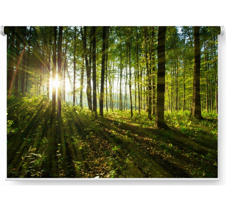 Roletai medžiai auksinės saulės spindulio medžiai - „Tenstickers“