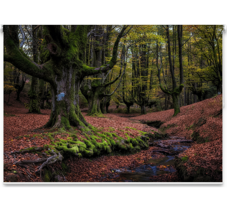 Roletai medžiai magiškas rudens miškas - „Tenstickers“