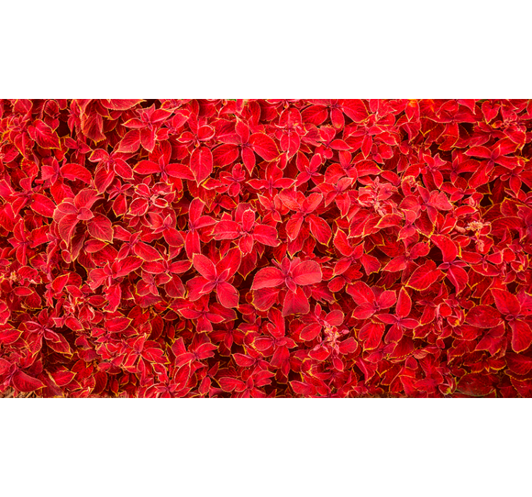 Roletai raudona žiedlapių raštas - „Tenstickers“