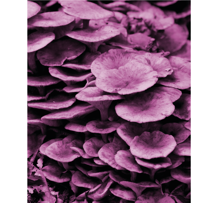 Ryškūs gėlių sluoksniai Roletai gėlės ir augalai - „Tenstickers“