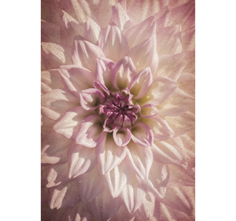 Subtilus žydėjimas Roletai gėlės ir augalai - „Tenstickers“