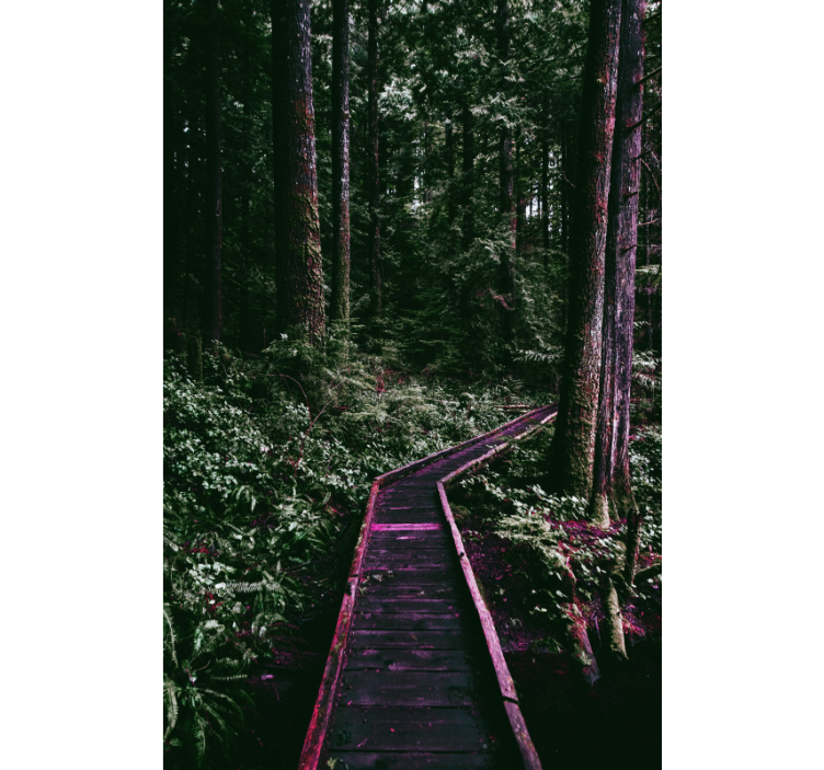 Miško takelis Roletai medžiai - „Tenstickers“