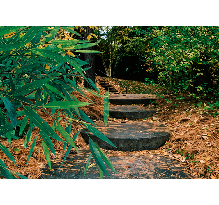 3d miško ir mažo kelio originalus roletas - „Tenstickers“