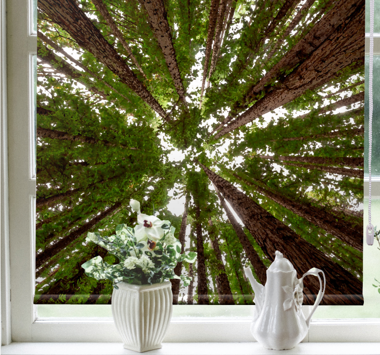 Aukščio baldakimo dizainas Roletai medžiai - „Tenstickers“