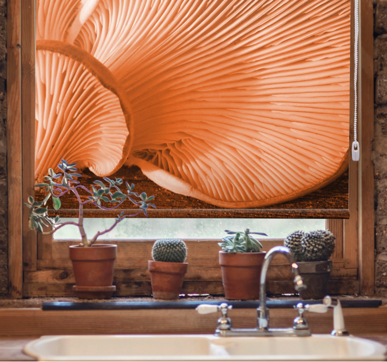 Grybų žiaunos iš arti Roletai vaisiai ir daržovės - „Tenstickers“