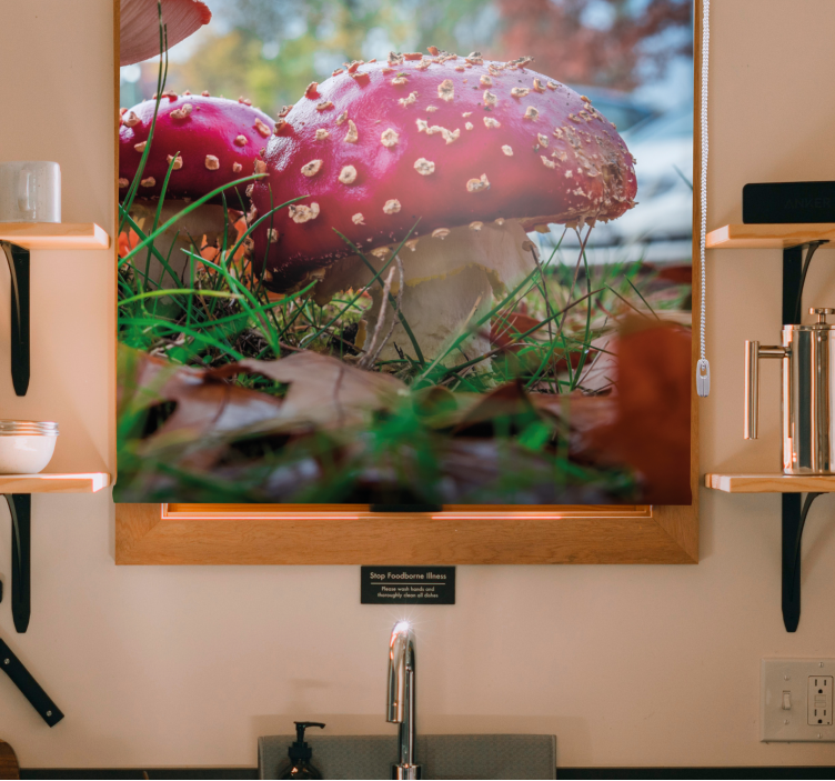 Ryškiai raudoni grybai Roletai gėlės ir augalai - „Tenstickers“