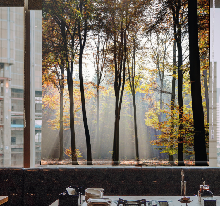 Saulės apšviesta miško scena Roletai medžiai - „Tenstickers“