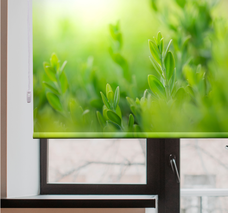 Sodrios žalumos paveikslas Roletai gėlės ir augalai - „Tenstickers“