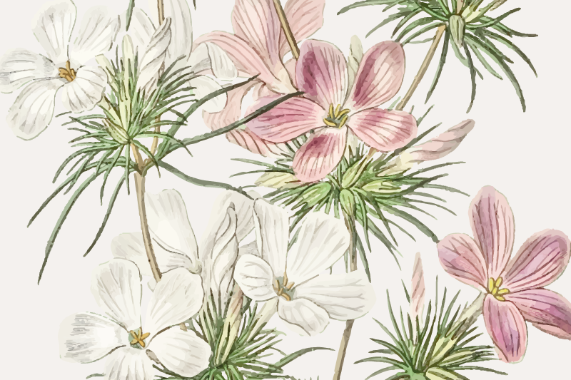 Originalūs stalo padėkliukai gėlių botaninėms kompozicijoms - „Tenstickers“