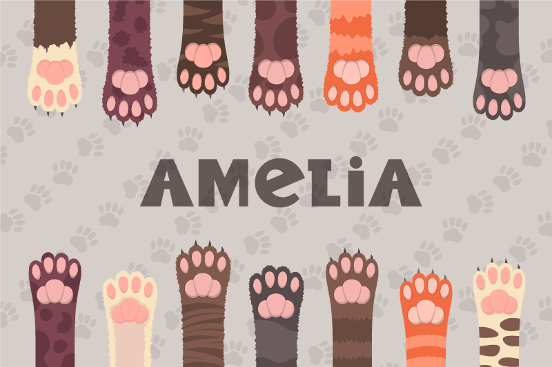 įvairiaspalvės katės letenėlėmis suasmenina padėkliukus - „Tenstickers“