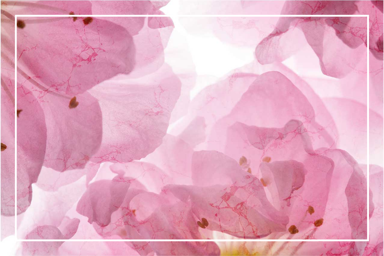 Elegantiški stalo padėkliukai su švelniu gėlių raštu - „Tenstickers“