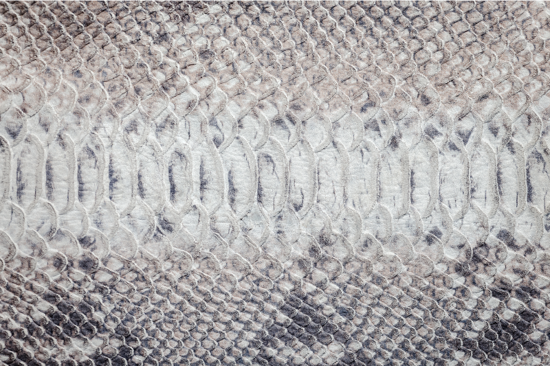 Tekstūruoti stalo padėkliukai gyvatės odos rašto - „Tenstickers“