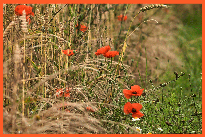 Vaikiški stalo padėkliukai linksmiems maisto deriniams - „Tenstickers“