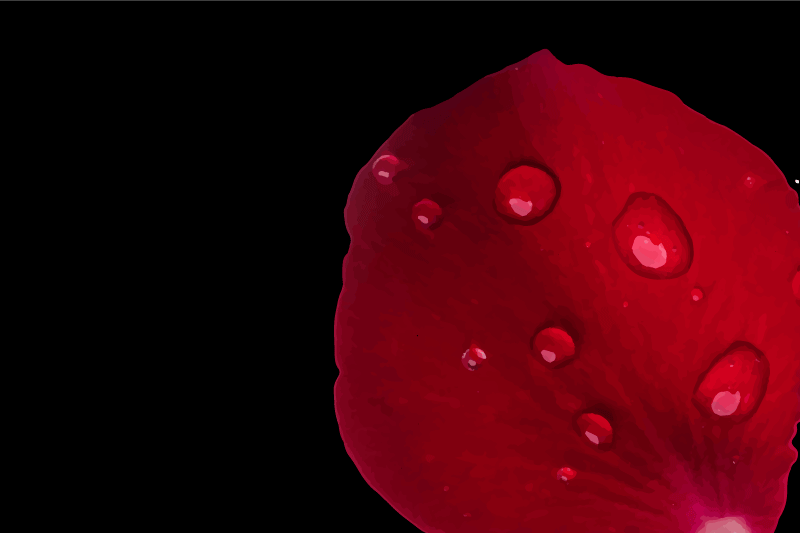 Tekstūruoti stalo padėkliukai raudonų žiedlapių paviršiuje - „Tenstickers“