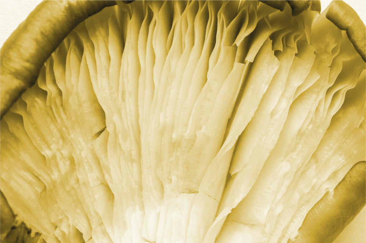 Tekstūruoti stalo padėkliukai išlenktų lapų sluoksniai - „Tenstickers“