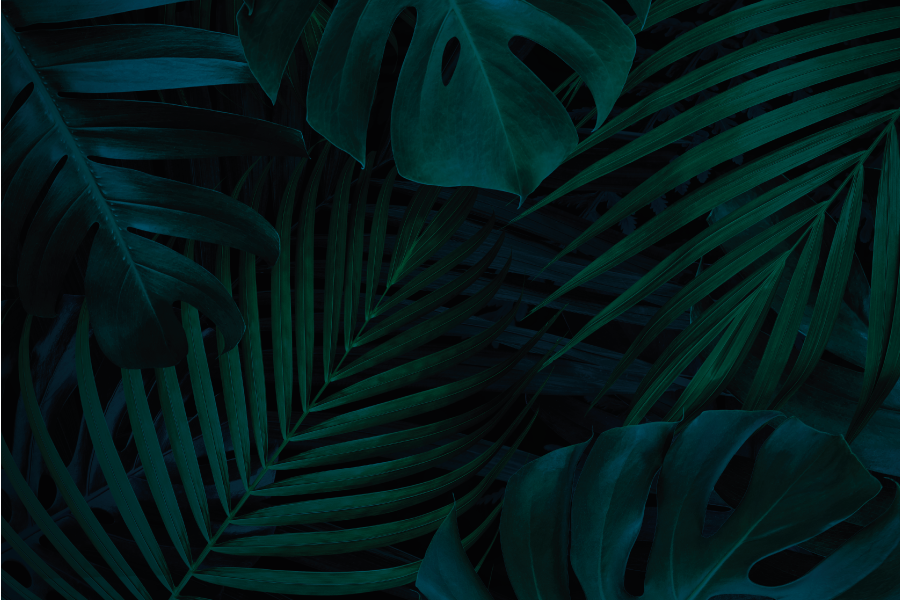 Tekstūruoti stalo padėkliukai tropinių lapų žavesys - „Tenstickers“