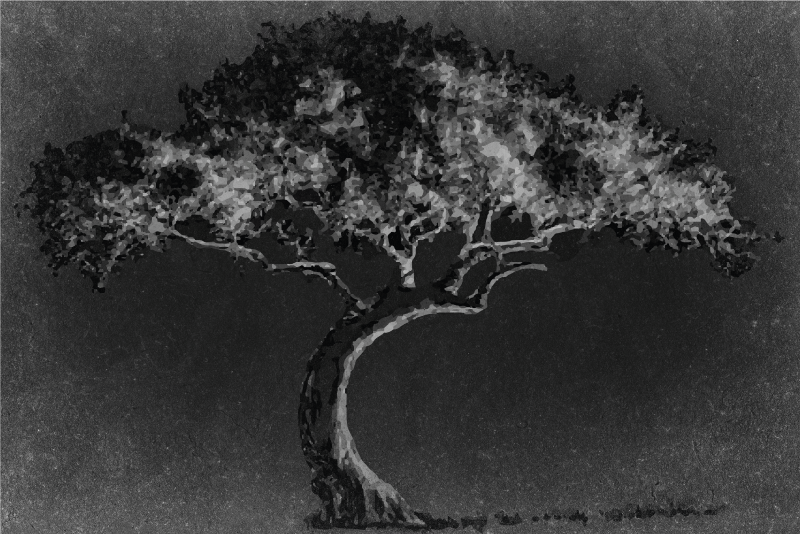 Tekstūruoti stalo padėkliukai meninė medžio siluetas - „Tenstickers“