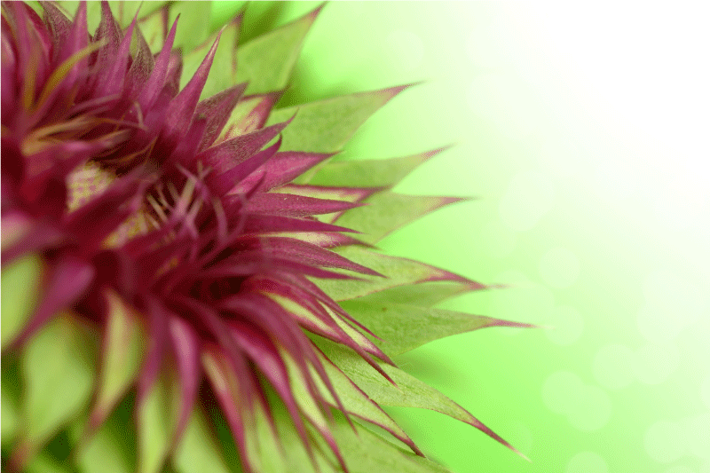 Alyvmedis elegantiškas stalo kilimėlis - „Tenstickers“