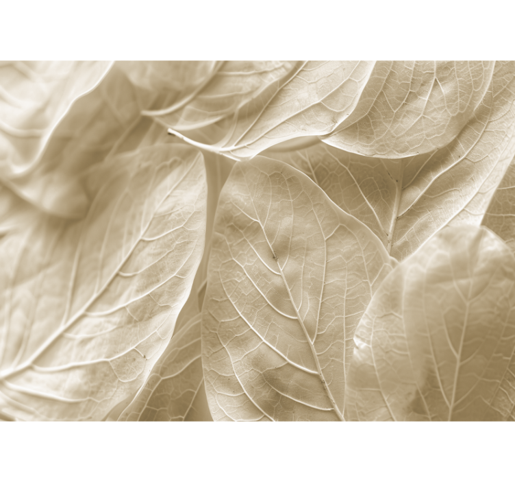 Dideli smėlio spalvos lapai pagrindinio miegamojo sienų tapyba - „Tenstickers“