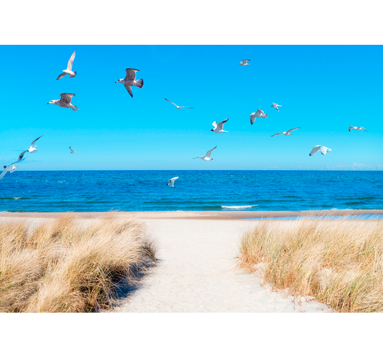 Pajūrio ramybė jūros gyvenimas sieninis freska - „Tenstickers“