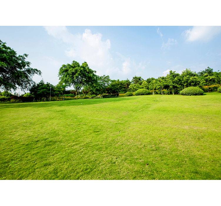 žalios pievos gamtos sienos freska - „Tenstickers“