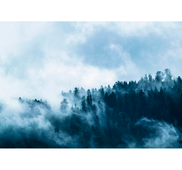 žiemos rūkas miško sienos freska - „Tenstickers“
