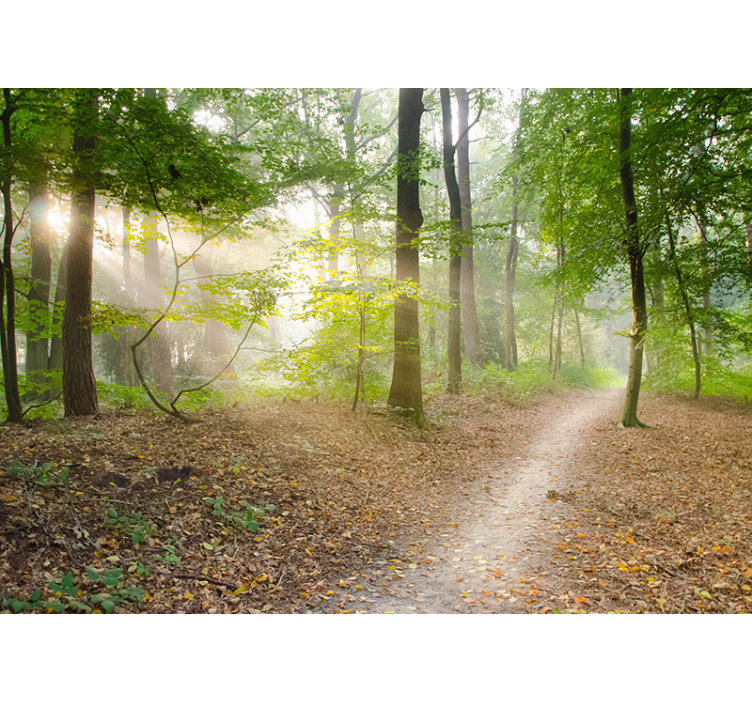 Stulbinantis miško sienos freska - „Tenstickers“