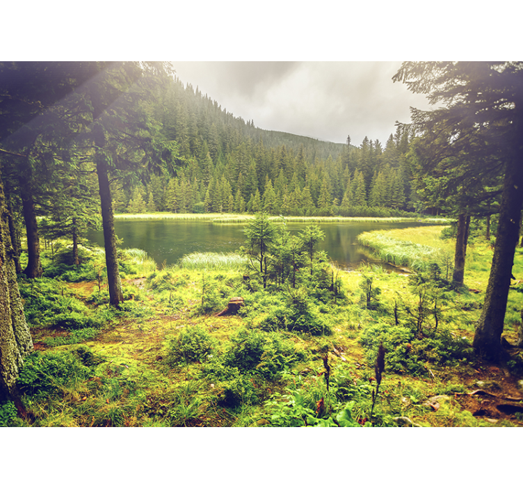 žali medžiai miško sienos freska - „Tenstickers“