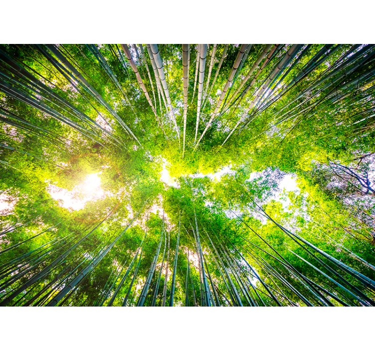 Bambuko kraštovaizdžio sienos freska - „Tenstickers“