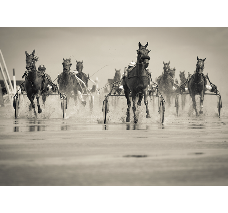 Bėgimo grupės arkliai sieninis paveikslas - „Tenstickers“