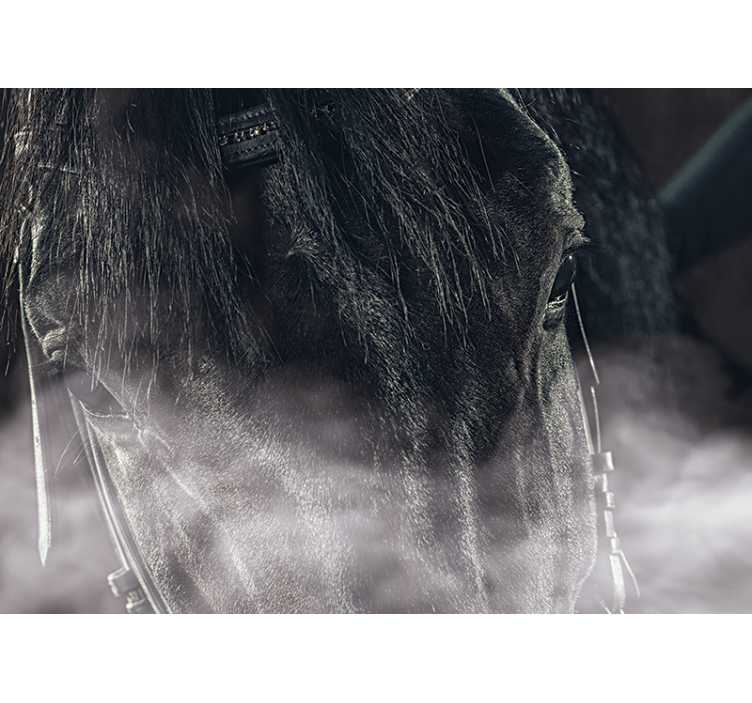 Didingas arklys stambaus plano gyvūnų sienų freska - „Tenstickers“