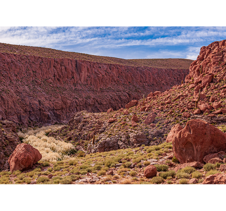 Raudonos dykumos peizažas kalnų sienos freska - „Tenstickers“