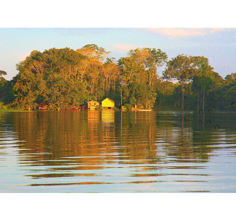 Amazoniško namo gamtos sieninė tapyba - „Tenstickers“