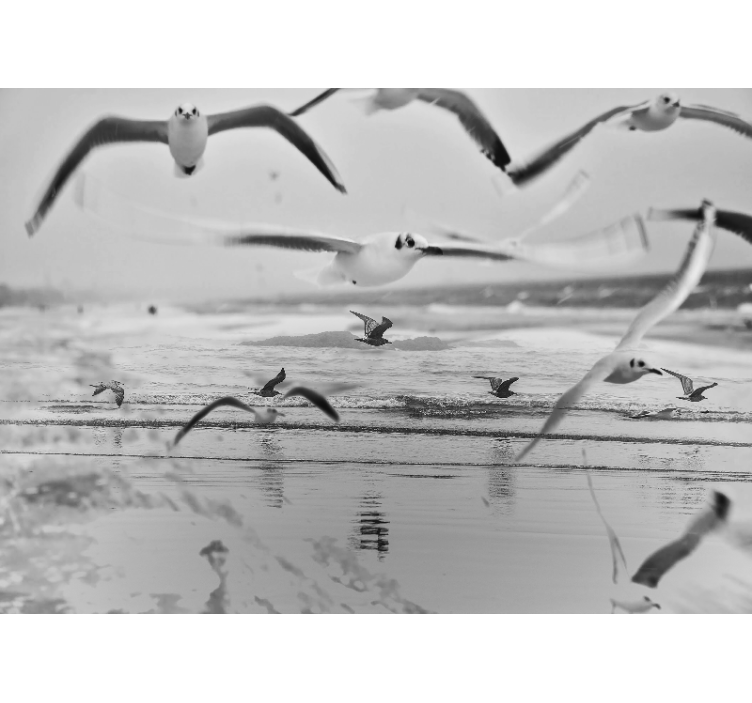 žuvėdros virš vandenyno gyvūnų sienų freska - „Tenstickers“