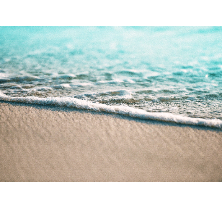 Jūros gyvenimas sieninis freska Švelnūs vandens bangavimai - „Tenstickers“