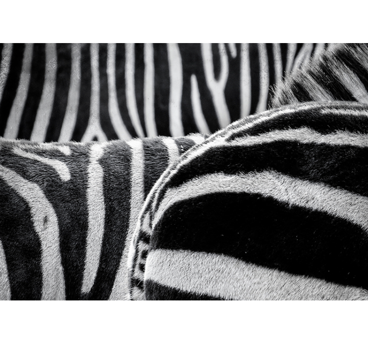 Tikroviškos zebrų juostelės gyvūnų sienų freska - „Tenstickers“