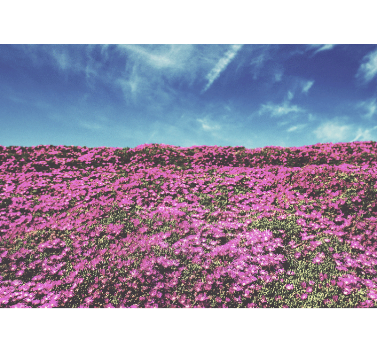 Rožinių gėlių lauko sienų paveikslas - „Tenstickers“