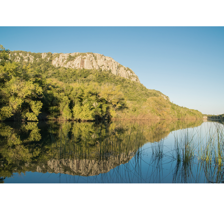 Lavallejos gamtos sieninė tapyba - „Tenstickers“