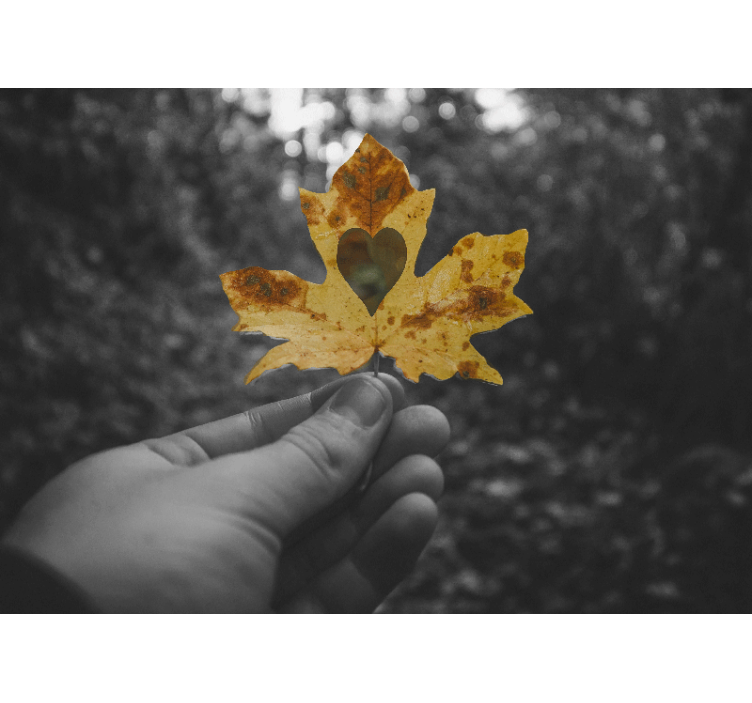 širdies formos lapas gamtos sienų tapyba - „Tenstickers“