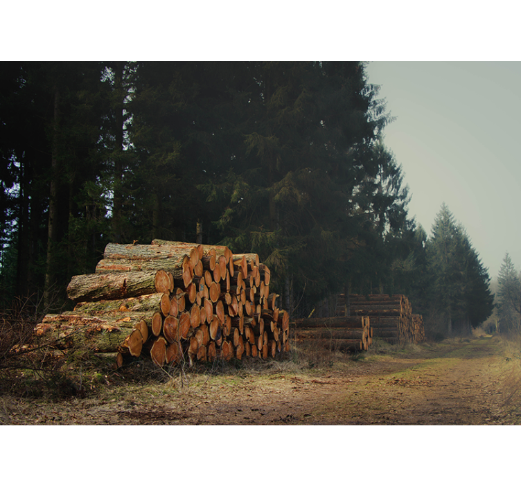 Miško rąstų krūvos sieninė tapyba - „Tenstickers“