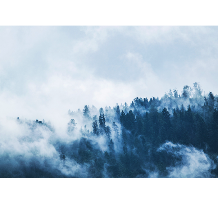 Gamtos sienų tapyba miško rūke peizažas - „Tenstickers“