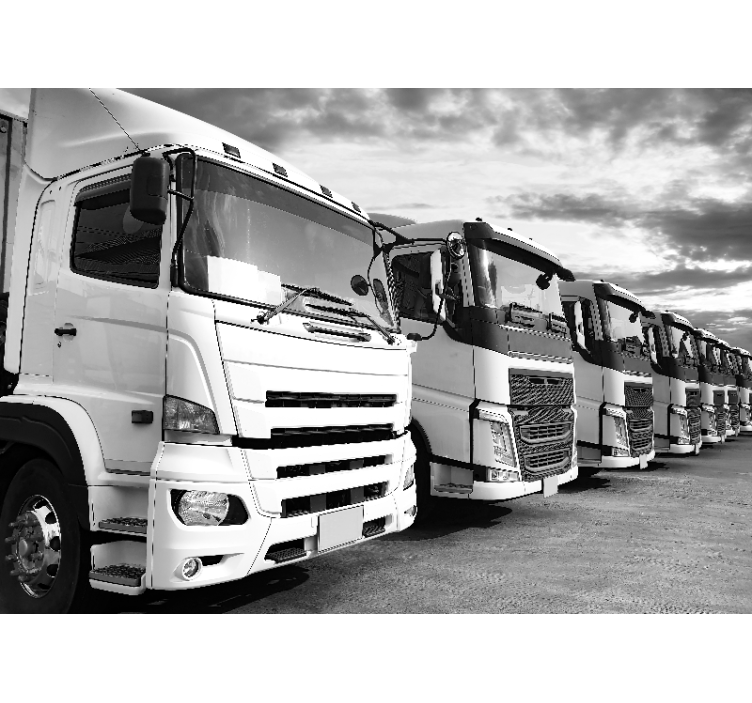 Sunkvežimiai išrikiuoti sieninį paveikslą - „Tenstickers“