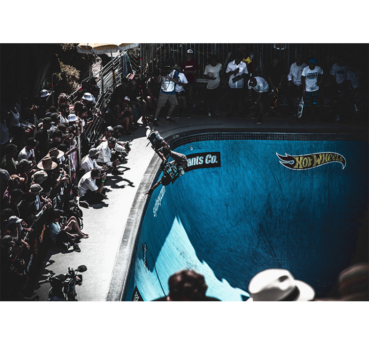 Skate australia sieninis paveikslas - „Tenstickers“