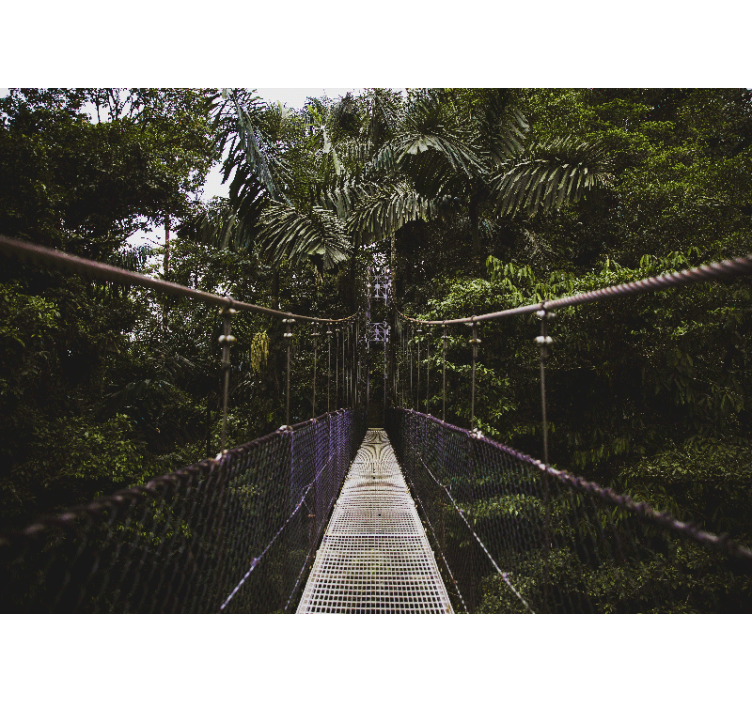 Gamtos sienų tapyba pakabinamų tiltų nuotykiai - „Tenstickers“