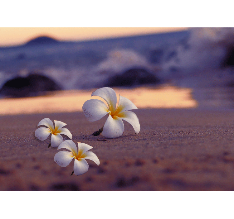 Aguonų sienų freska tropinių gėlių trio - „Tenstickers“