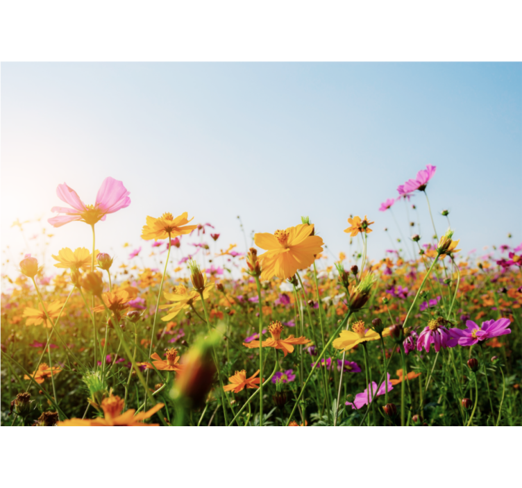 Mišinys gėlių tipų sieninis paveikslas - „Tenstickers“